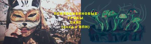 прущий лед Алексин