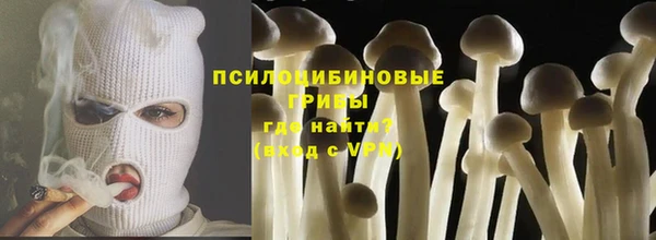 прущий лед Алексин