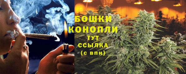 PSILOCYBIN Алзамай