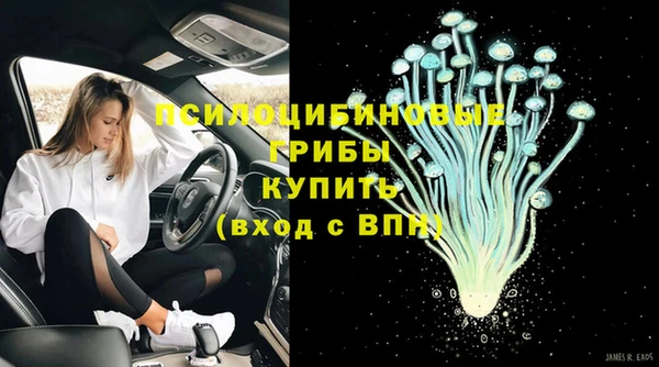PSILOCYBIN Алзамай
