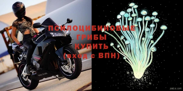 PSILOCYBIN Алзамай
