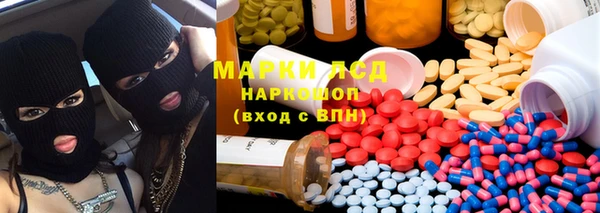 PSILOCYBIN Алзамай